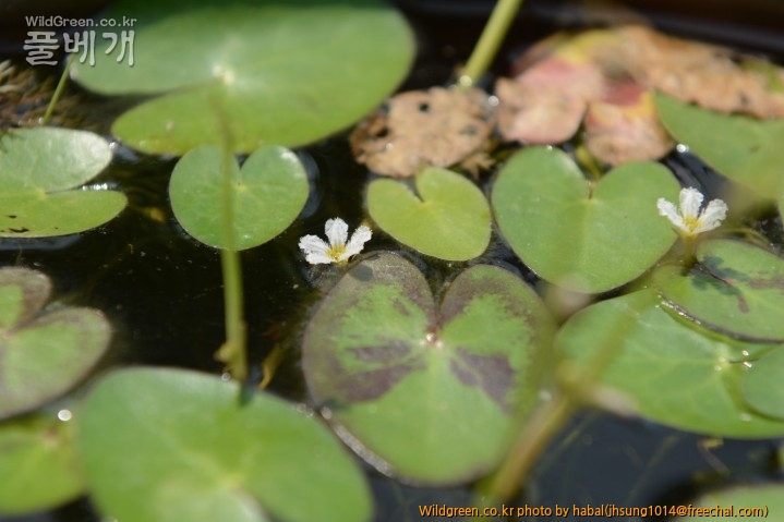 DSC_1887.JPG : 에~~휴~~~~~~~~~!