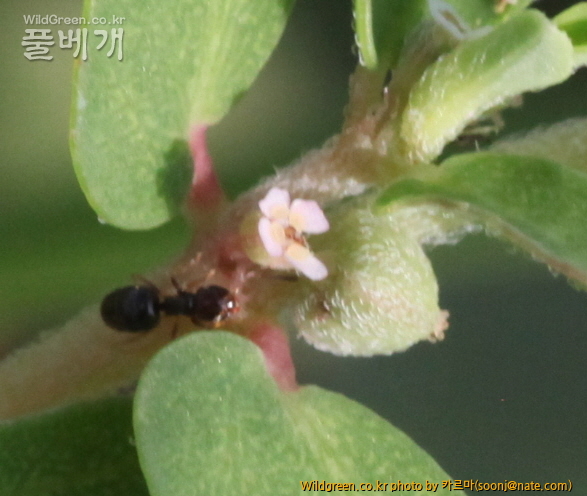 사본 -IMG_8818.jpg