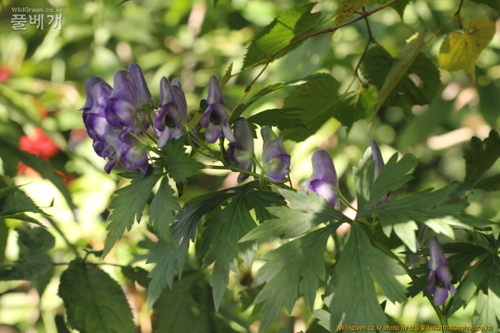 DPP_13.09.15 설악산  0065.JPG