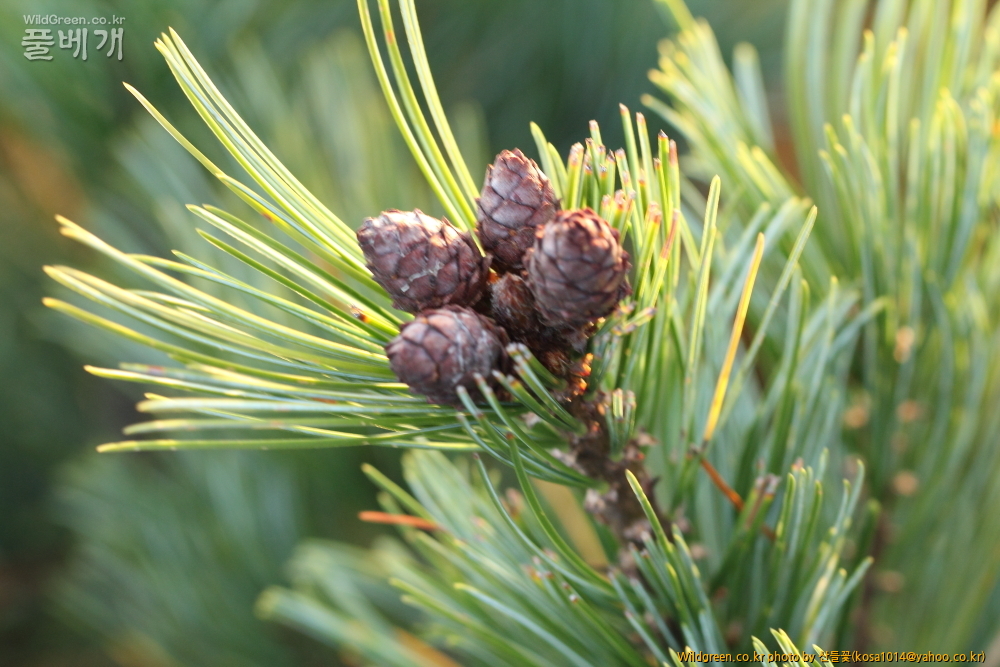 DPP_13.09.15 설악산  0030.JPG