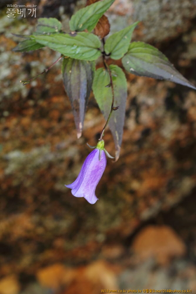 DPP_13.09.15 설악산  0127.JPG