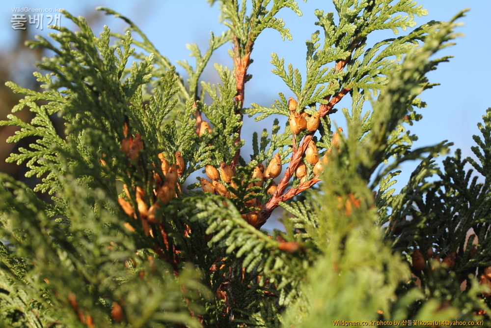 DPP_13.09.15 설악산  0054.JPG