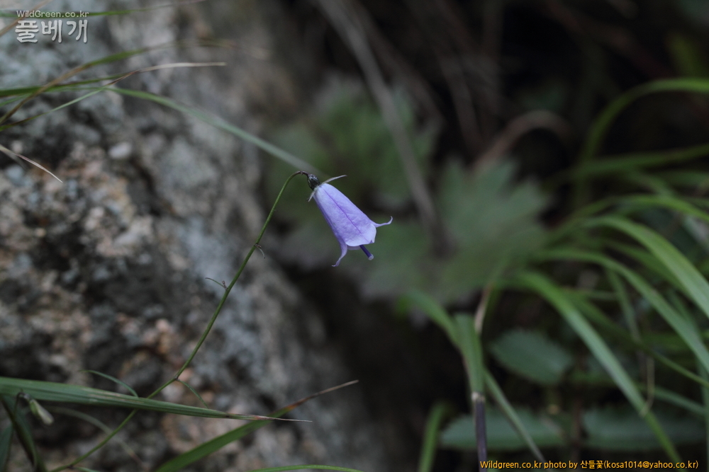 DPP_13.09.15 설악산  0129.JPG