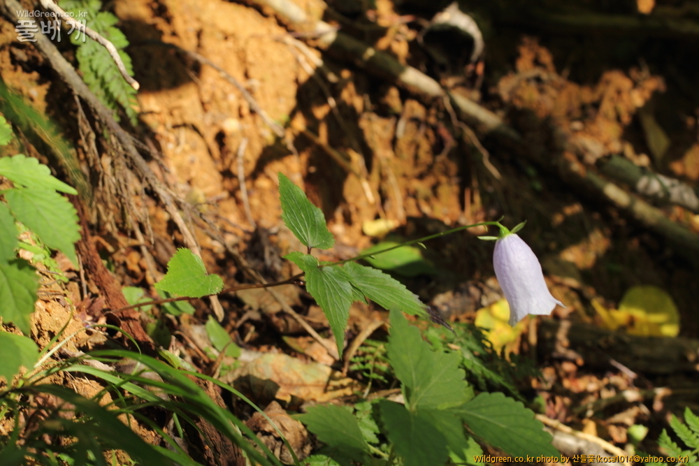 DPP_13.09.15 설악산  0090.JPG