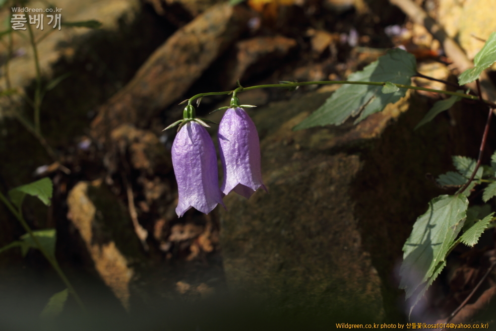 DPP_13.09.15 설악산  0083.JPG