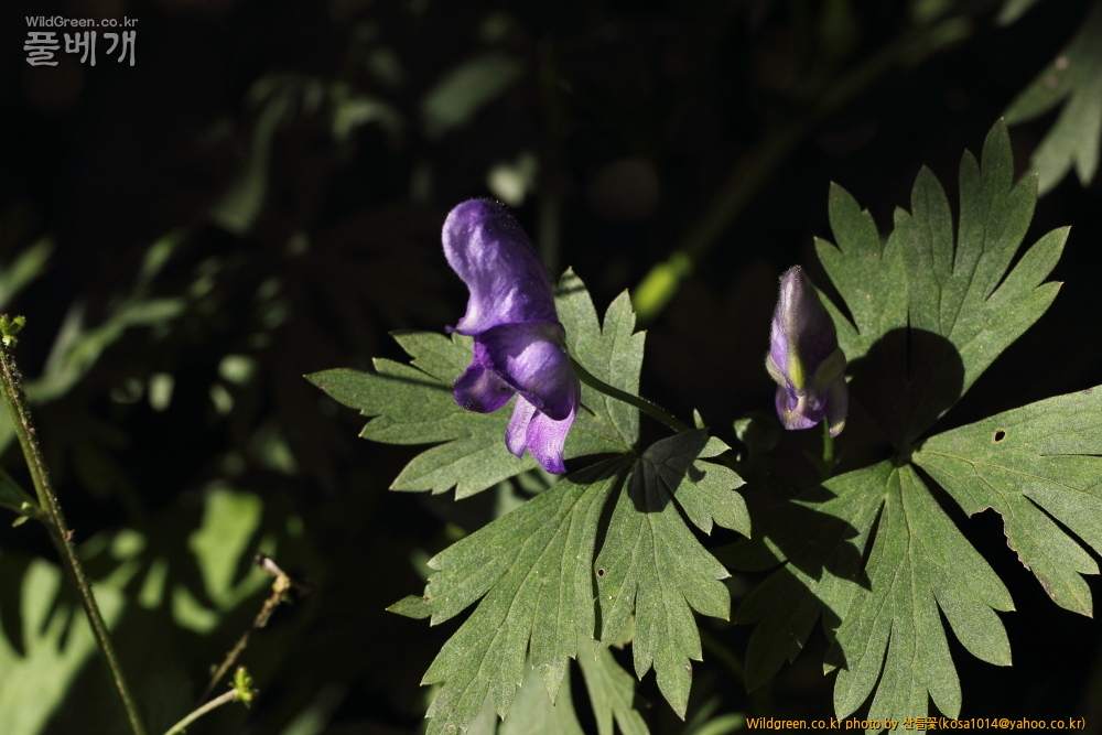 DPP_13.09.15 설악산  0066.JPG