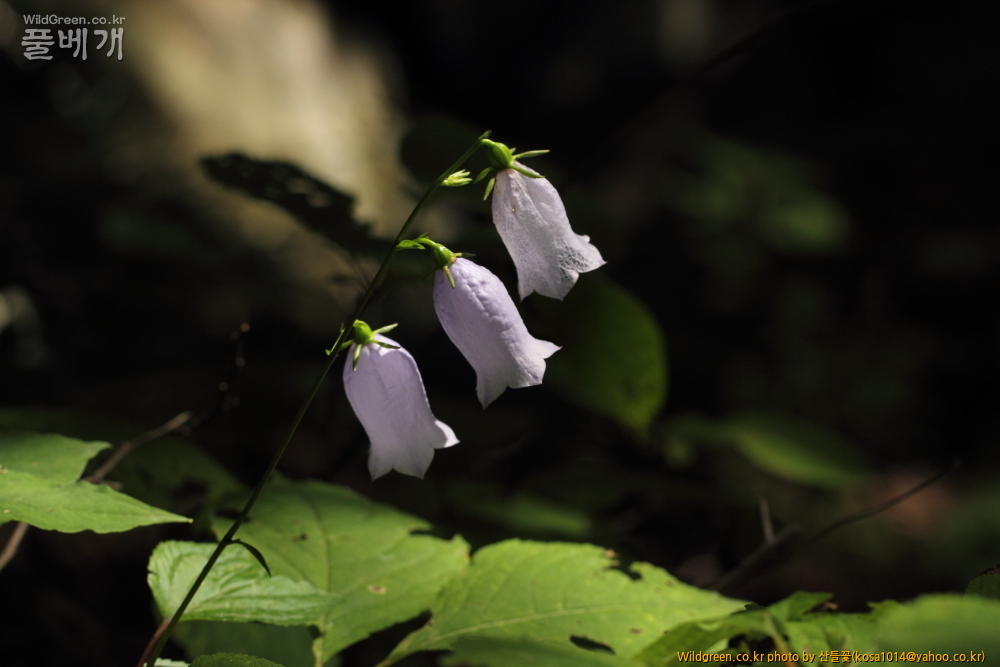 DPP_13.09.15 설악산  0102.JPG