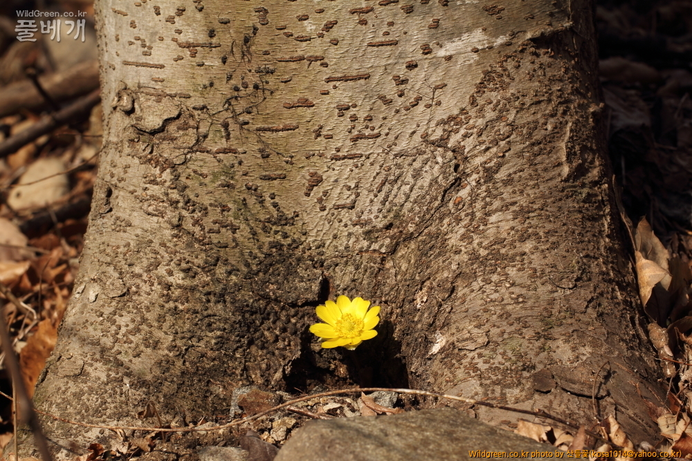 DPP_2015.03.15 암곡 0001.JPG : 암곡계곡 탐방