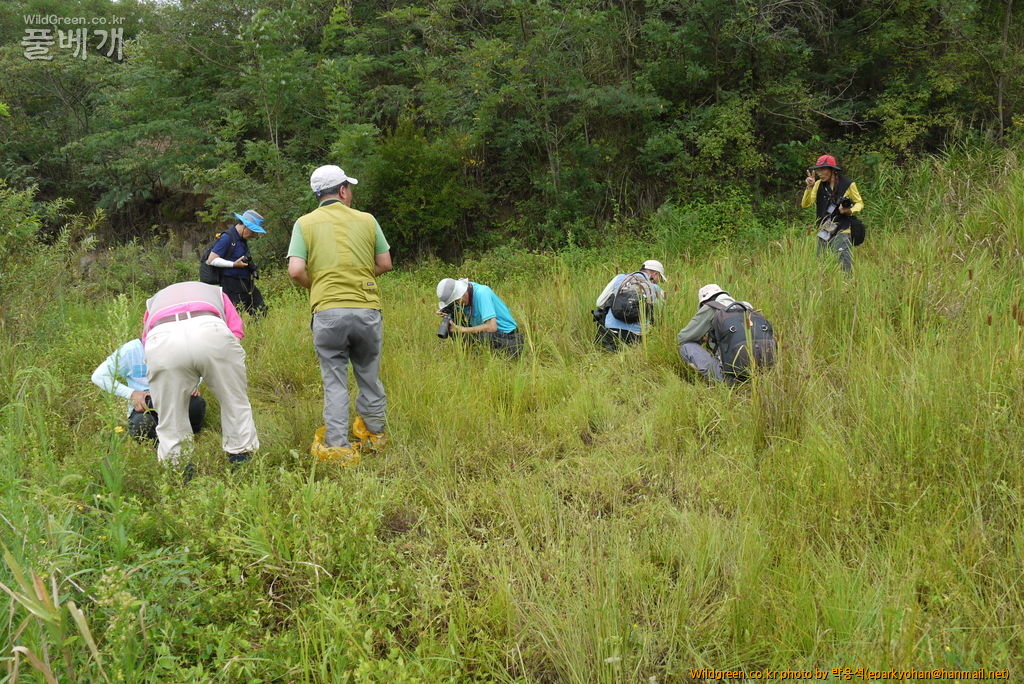 P1090773상주활공장.JPG : 상주경천대 답사 후기