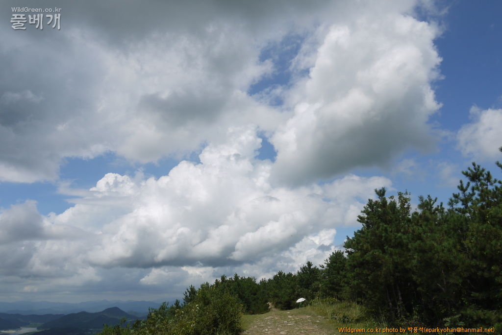 P1090808상주활공장.JPG : 상주경천대 답사 후기