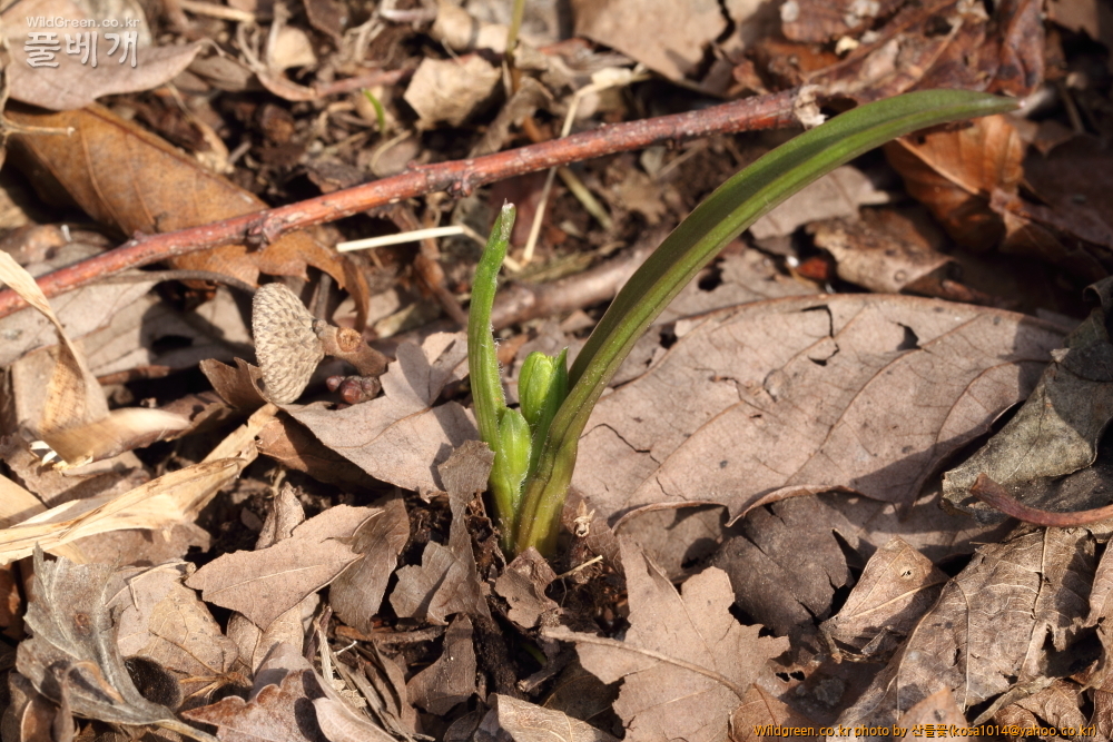 DPP_2015.02.24 안강 금곡산0036.JPG