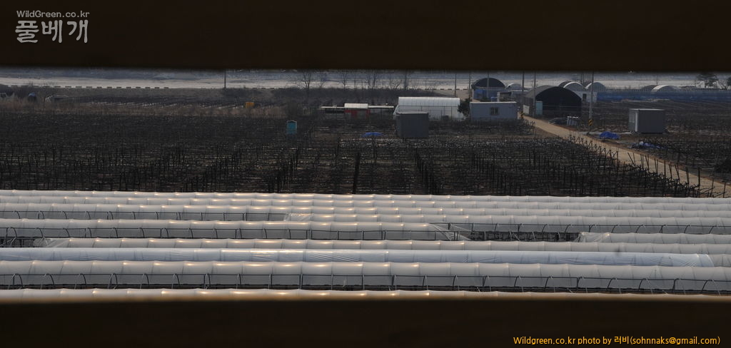 SNS_2839_187 - 복사본.JPG