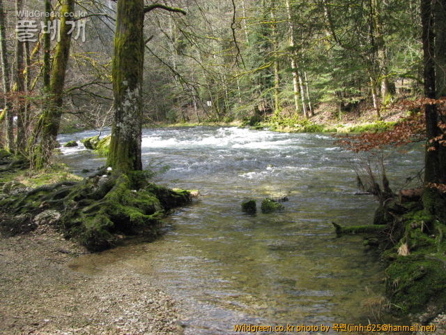 주라산발레드주 (5).jpg