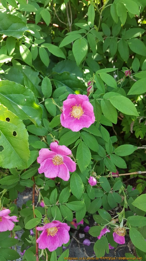 흥정6월3일 120.jpg