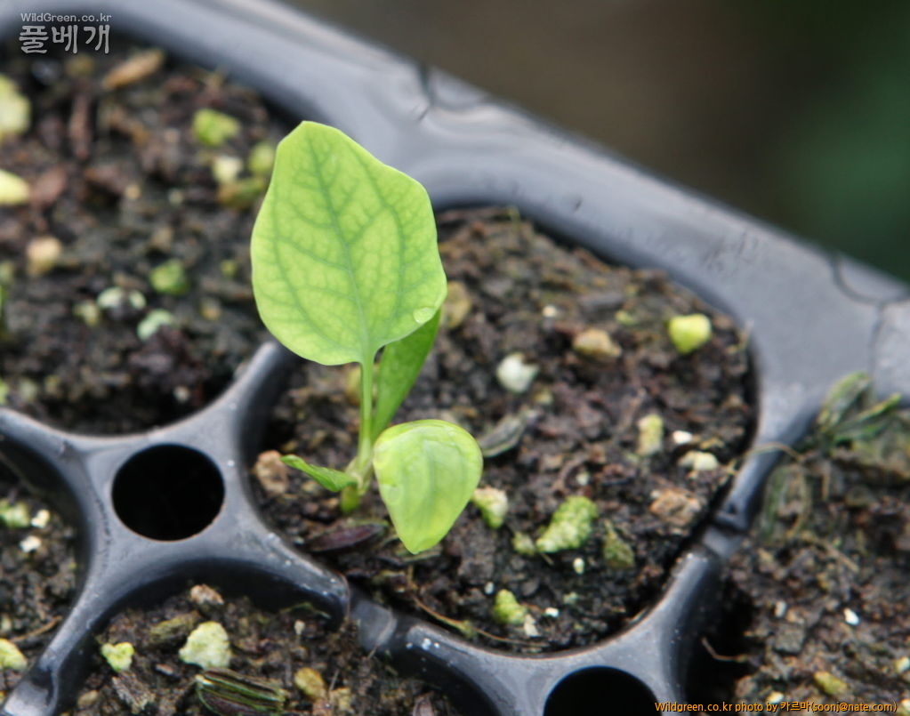 사본 -IMG_1002.jpg