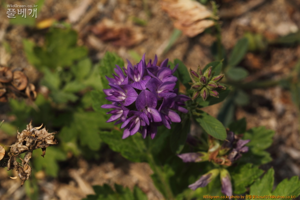 DPP_2015.07.05 동해안0097.JPG : 동해안 일대 산책