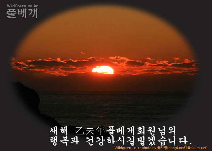 풀베개.JPG : 새해 풀베개회원님 건강과ㅣ 행복하시길