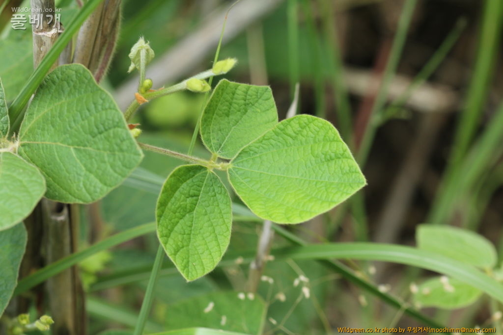 안덕계곡 275.jpg