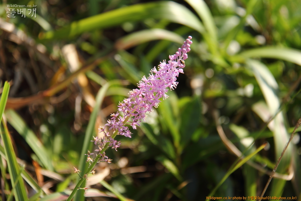 DPP_2016.08.04 영도구0069.JPG