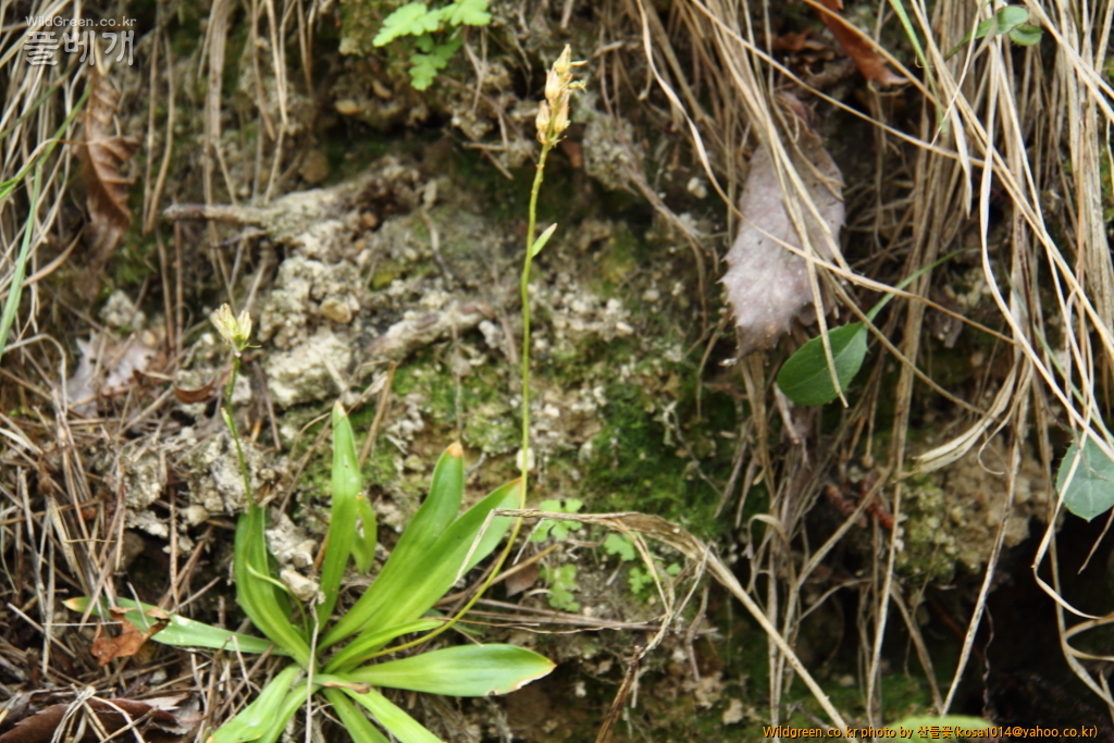 DPP_2016.08.04 영도구0060.JPG