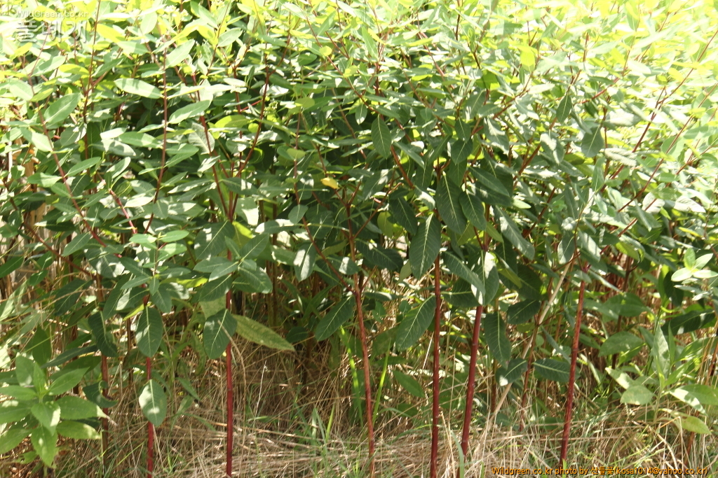 DPP_2016.08.04 영도구0052.JPG