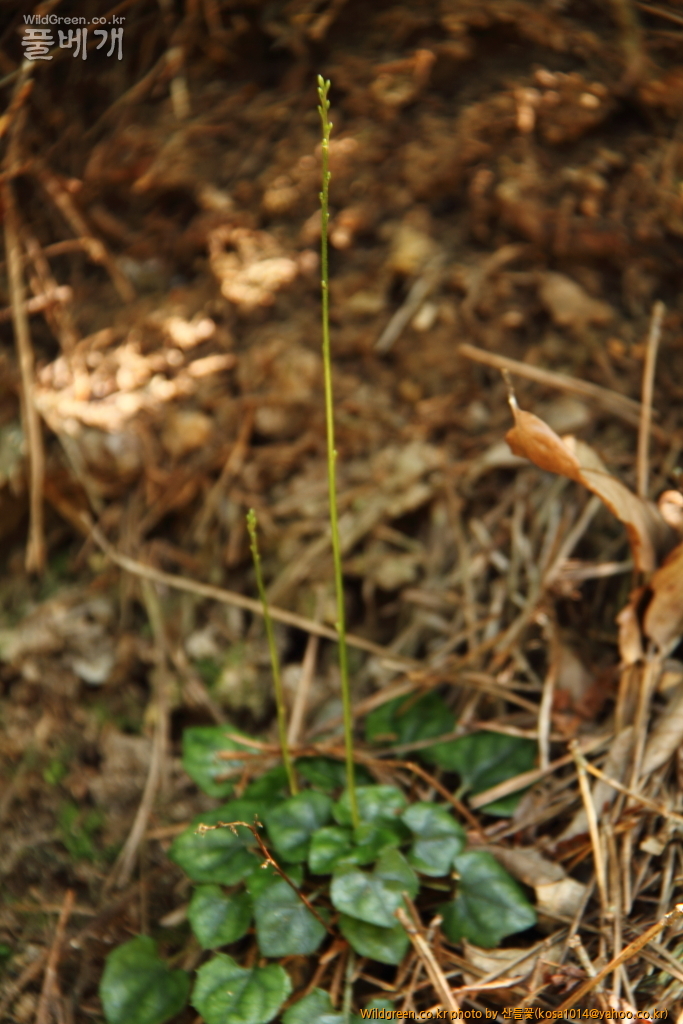 DPP_2016.08.04 영도구0065.JPG