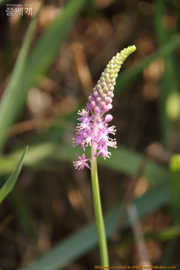 DPP_2016.08.04 영도구0072.JPG