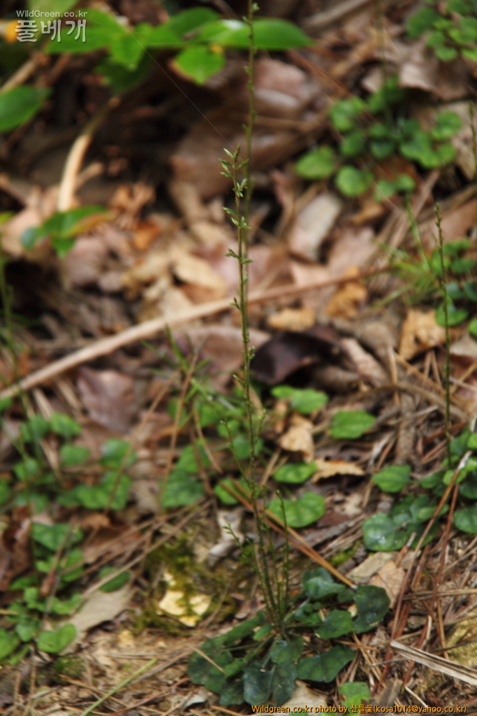 DPP_2016.08.04 영도구0064.JPG