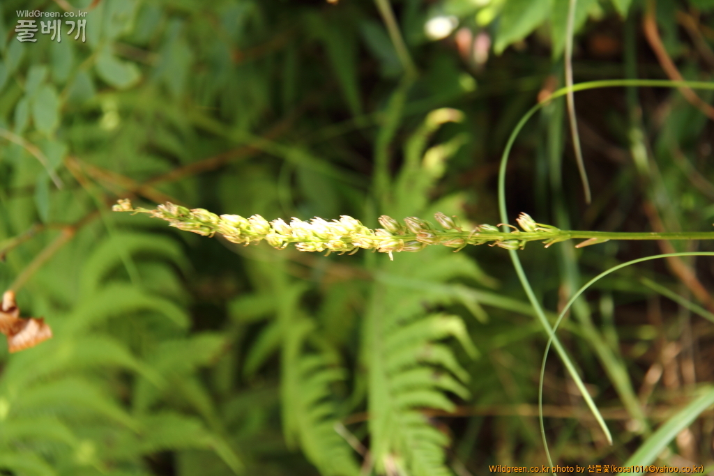 DPP_2016.08.04 영도구0058.JPG