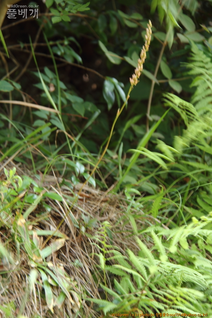 DPP_2016.08.04 영도구0063.JPG