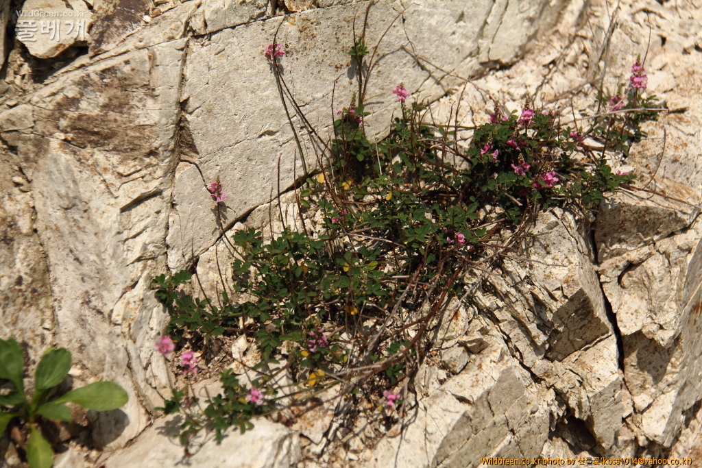 DPP_2016.08.04 영도구0067.JPG