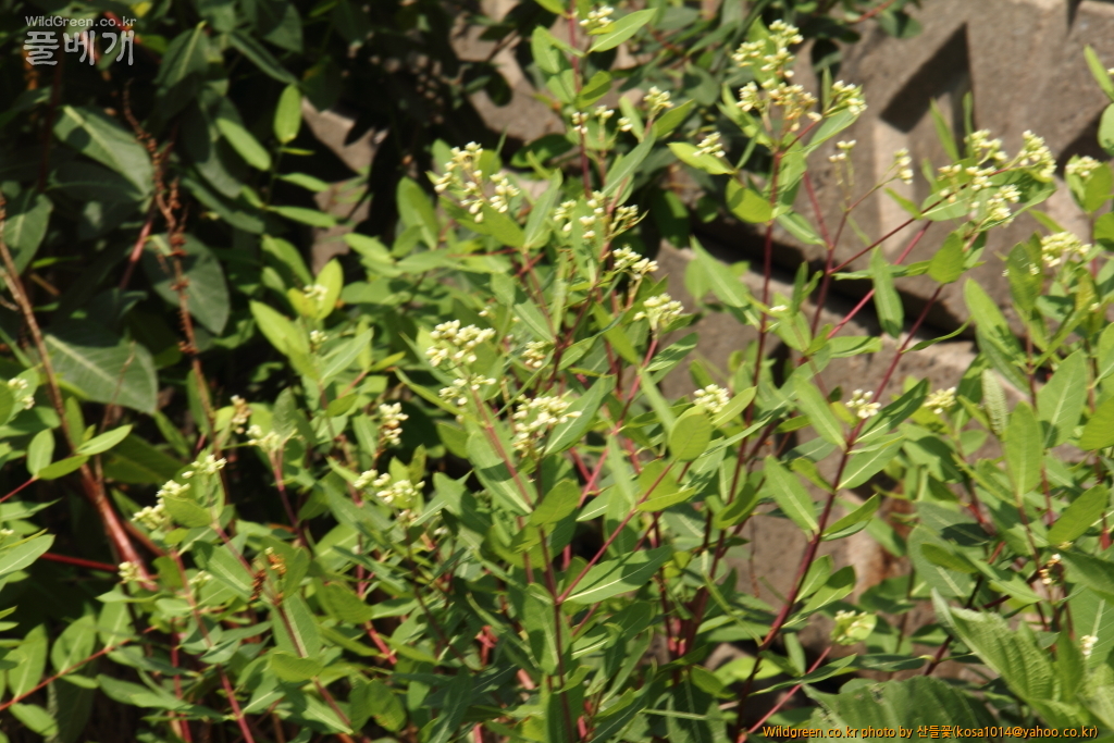 DPP_2016.08.04 영도구0047.JPG