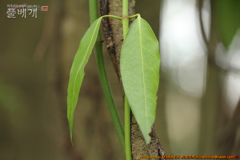 w-영주치자 (2).jpg