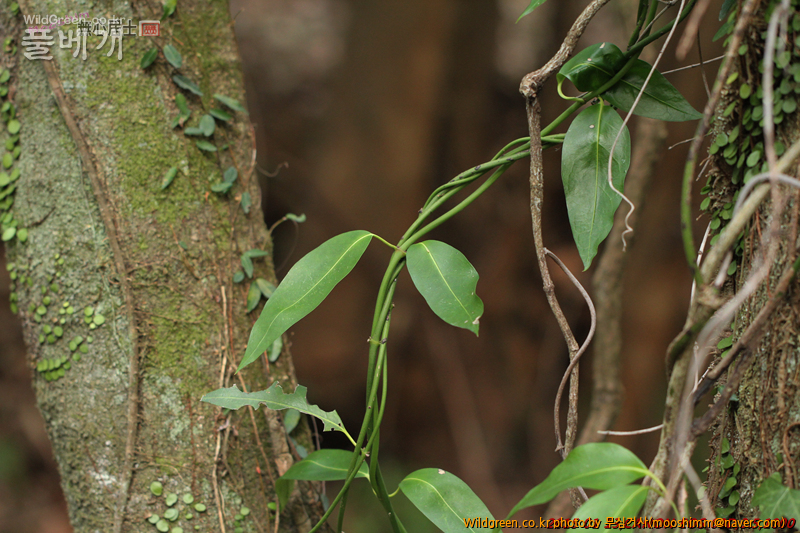 w-영주치자 (4).jpg