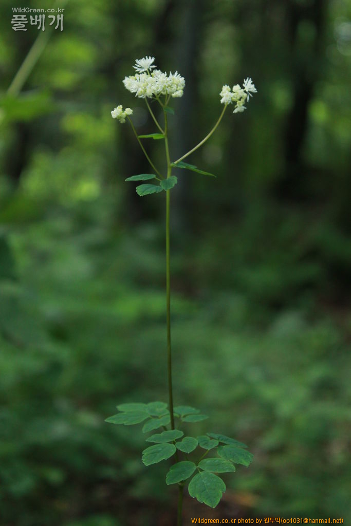 IMG_2154.JPG : 금오산에서