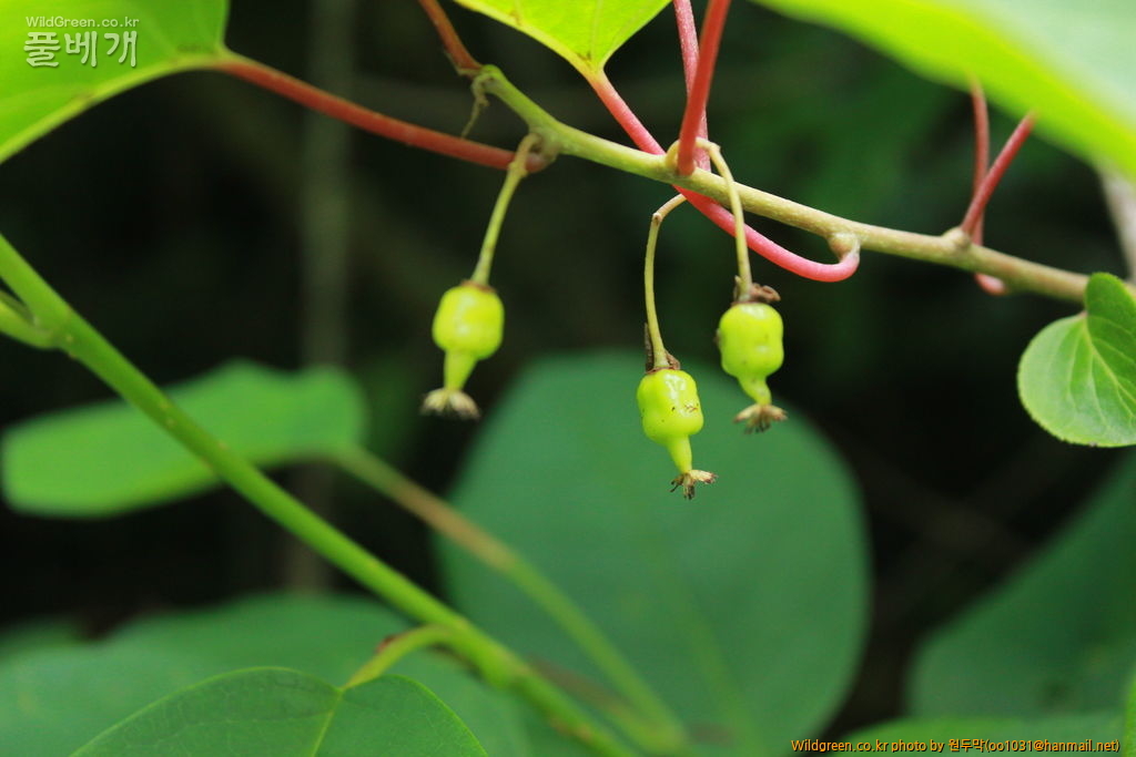 IMG_2122.JPG : 금오산에서