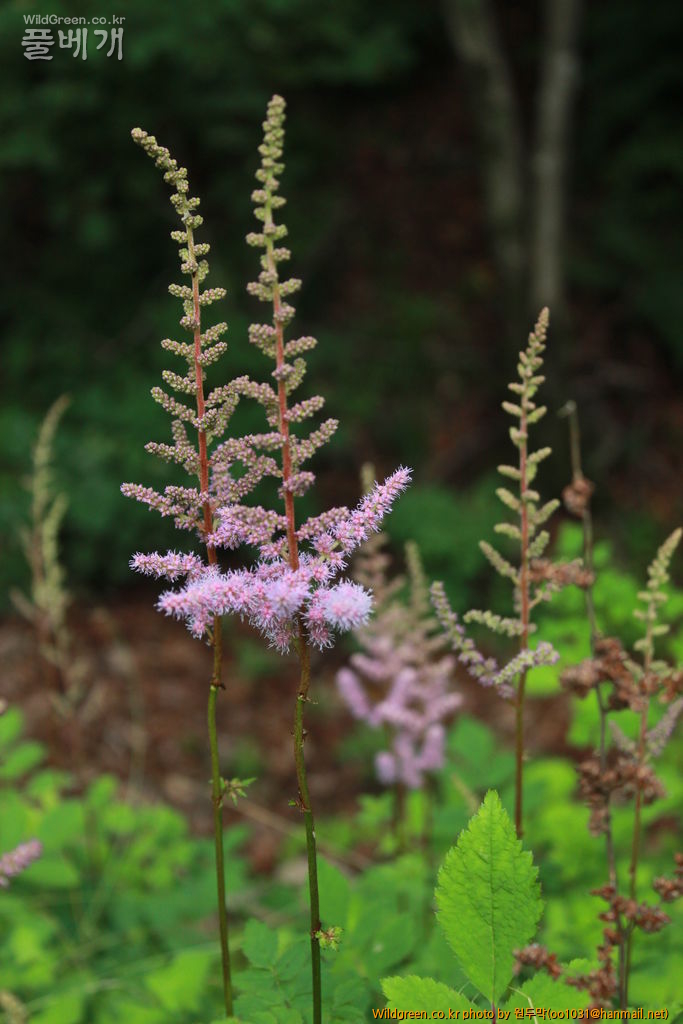 IMG_2114.JPG : 금오산에서