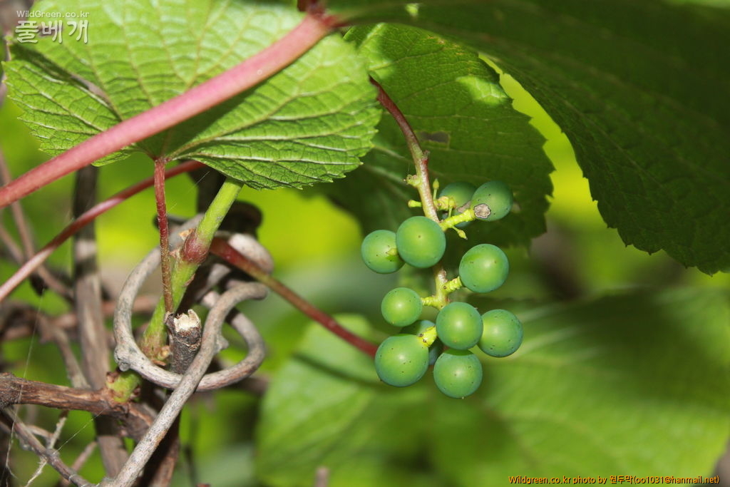 IMG_2084.JPG : 금오산에서