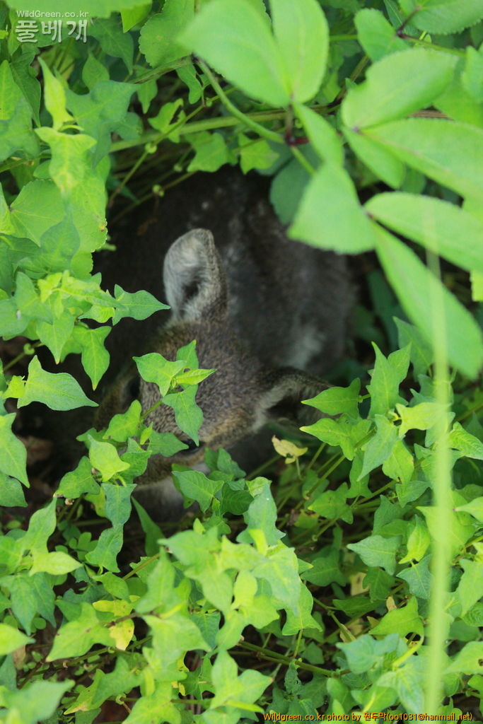 IMG_2126.JPG : 금오산에서