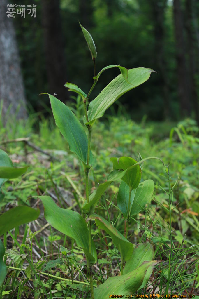 IMG_2141.JPG : 금오산에서