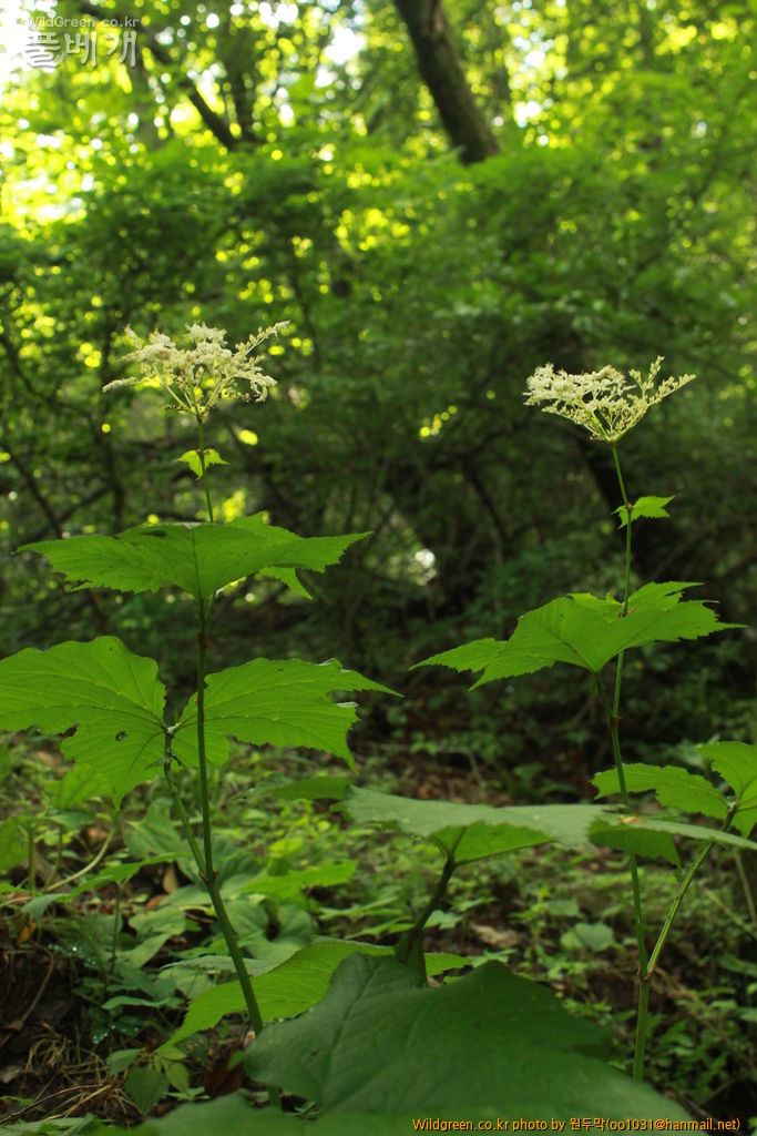 IMG_2103.JPG : 금오산에서