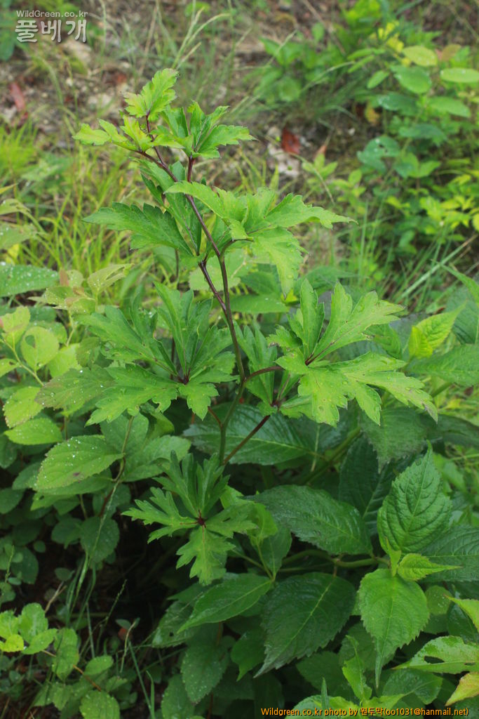 IMG_2002.JPG : 팔공산에서 만난 아이들