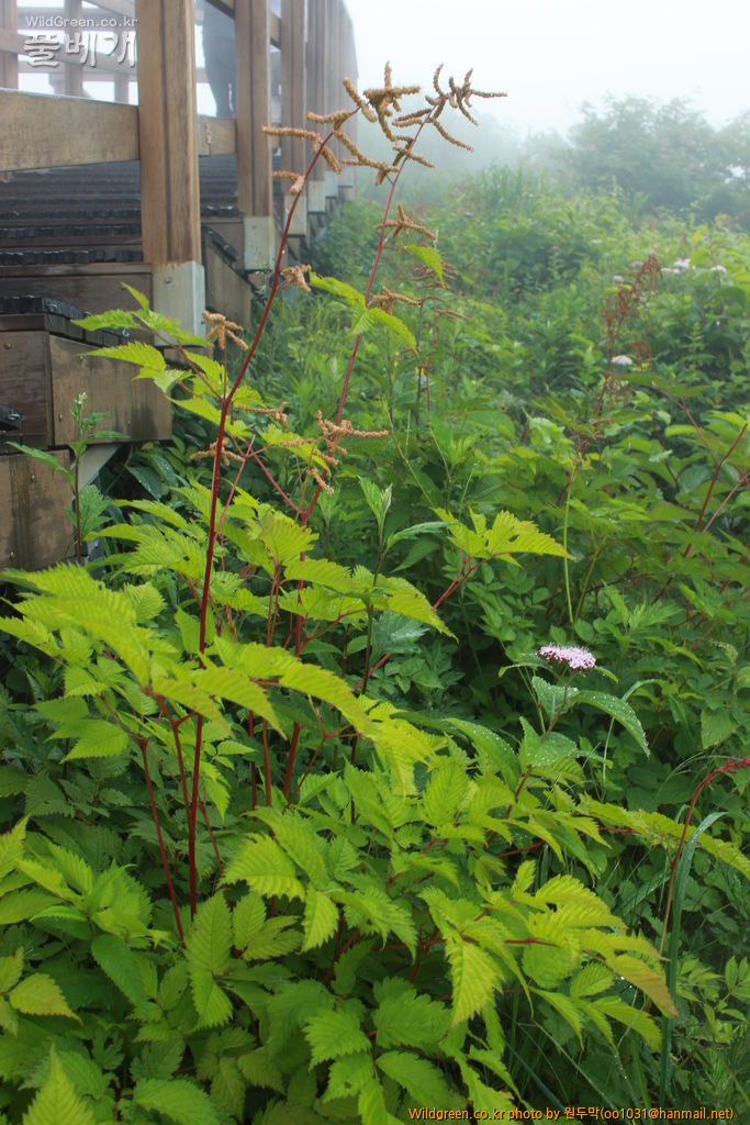 IMG_2007.JPG : 팔공산에서 만난 아이들