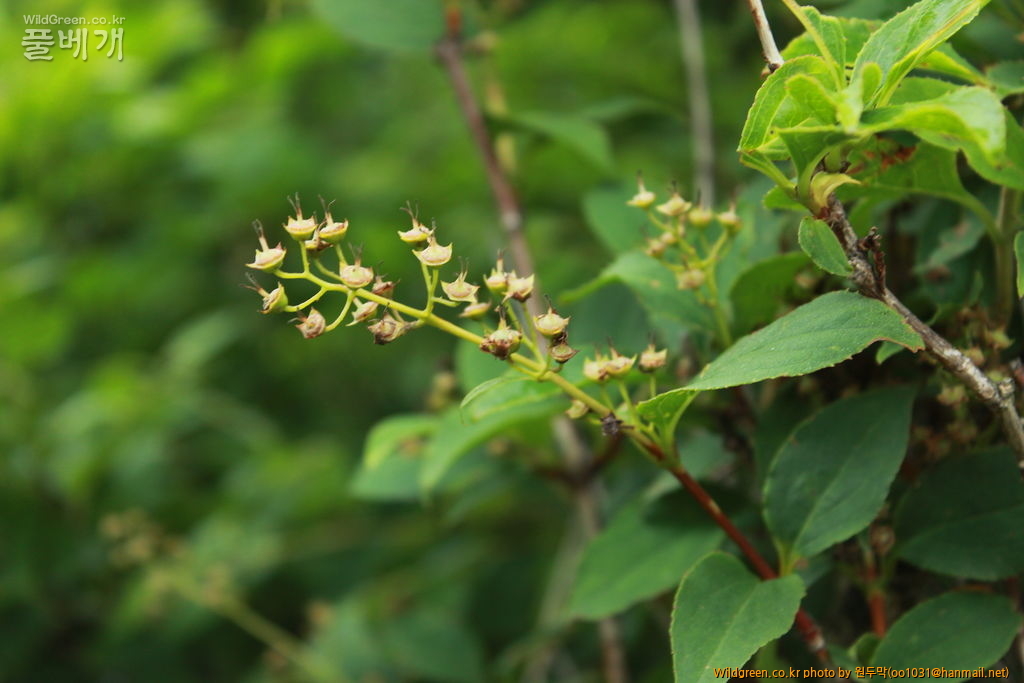 IMG_1985.JPG : 팔공산에서 만난 아이들