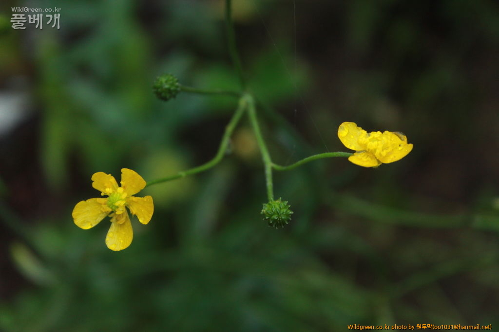 IMG_2001 (1).JPG : 팔공산에서 만난 아이들