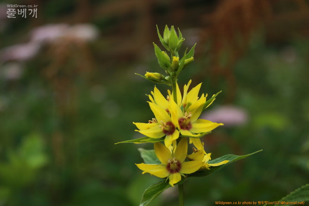 IMG_2031.JPG : 팔공산에서 만난 아이들