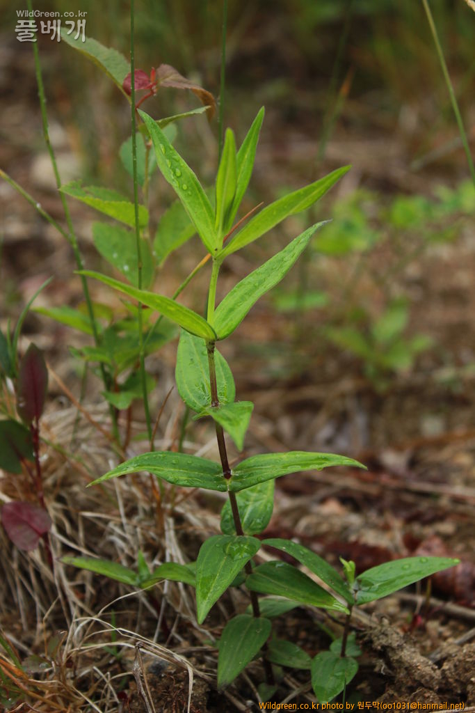 IMG_1966.JPG : 팔공산에서 만난 아이들