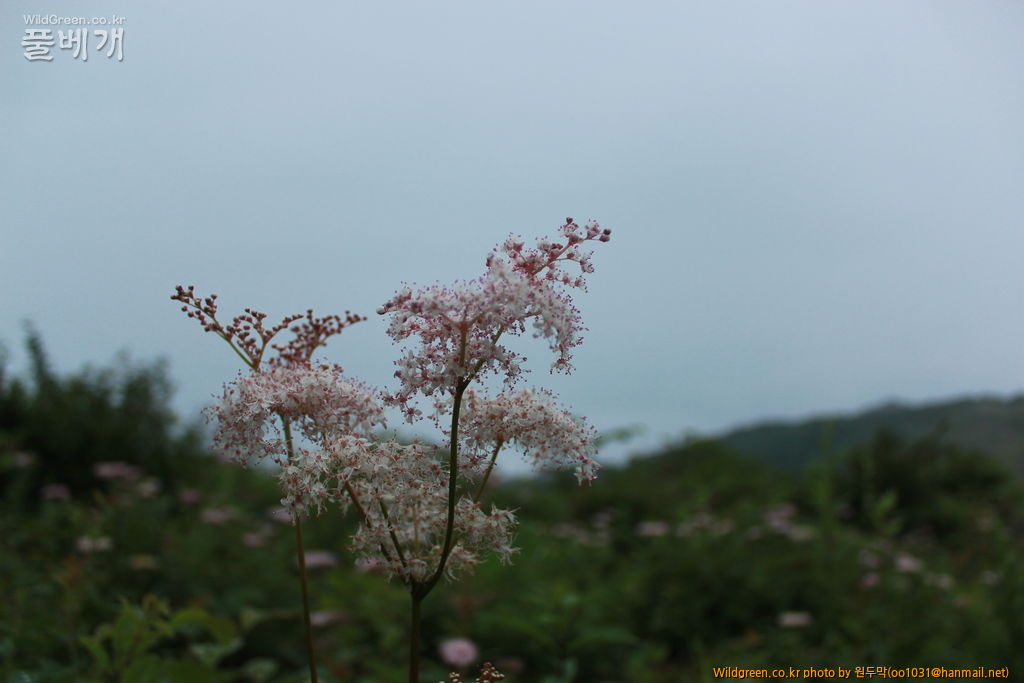 IMG_2052.JPG : 팔공산에서 만난 아이들
