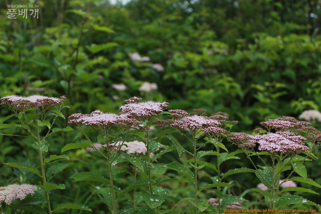 IMG_2075.JPG : 팔공산에서 만난 아이들