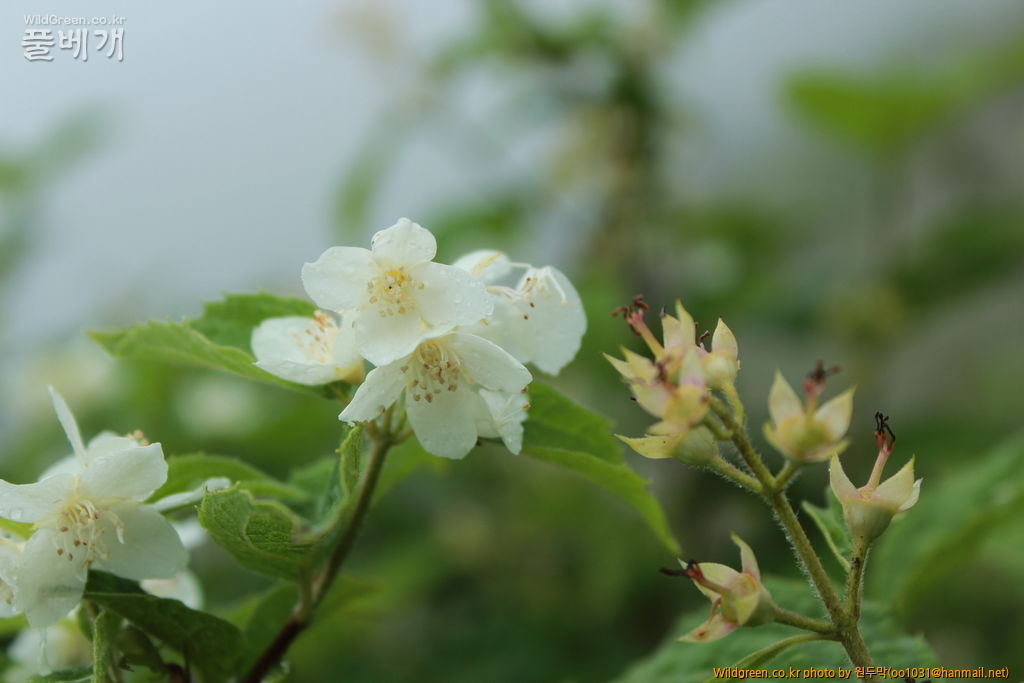 IMG_1948.JPG : 팔공산에서 만난 아이들